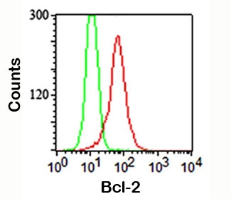 FACS staining (intracellular) of Jurkat cells using anti-Bcl-2 antibody (red) and isotype control (green).