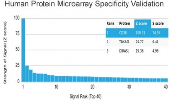 CD38 Antibody microarray validation. Analysis of HuProt(TM) human protein microarray containing more than 19,000 full-length human proteins using CD38 Antibody clone CD38/4328 demonstrates highly selective binding to CD38 as the top-ranked target. Z-score of 100.31 indicates strong signal intensity, while the S-score of 74.55 reflects a substantial separation from the next highest-ranking proteins, supporting high specificity. Z-score represents signal strength in standard deviations above the array mean, and S-score reflects the difference between consecutive ranked targets, indicating relative target specificity.