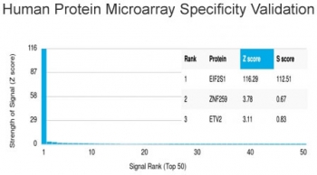 EIF2S1 Antibody HuProt Microarray. Analysis of a HuProt(TM) microarray containing more than 19,000 full-length human proteins using EIF2S1 antibody detecting eIF2 alpha, clone PCRP-EIF2S1-1E2. The antibody shows a strong and highly specific signal for EIF2S1 with a markedly elevated Z-score and clear separation from lower-ranked proteins, resulting in a high S-score consistent with target specificity. Z-score represents signal intensity in standard deviations above the array mean, while S-score reflects the difference between the top-ranked target and subsequent signals, indicating relative binding specificity of the monoclonal antibody.