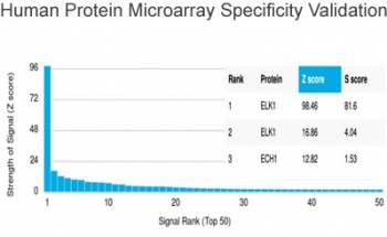 ELK1 Antibody HuProt Microarray Validation. Analysis of a HuProt(TM) human protein microarray containing more than 19,000 full-length proteins using ELK1 antibody demonstrates highly selective recognition of ELK1, with the strongest signal ranking corresponding to the intended target and clear separation from non-target proteins, supporting proteome-wide specificity for this MAPK-responsive transcription factor; detection was performed with clone PCRP-ELK1-1D9. Z- and S-scores reflect signal intensity and relative target specificity across the protein array.