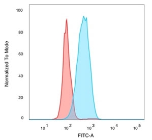 IRF3 Antibody MCF-7 FACS. Flow cytometry analysis of PFA-fixed human MCF-7 cells stained with IRF3 Antibody demonstrates a distinct right-shifted fluorescence population relative to unstained cells, consistent with IRF3-associated innate immune signaling and interferon regulatory pathway expression. This innate immune signaling antibody supports characterization of antiviral response-associated transcriptional regulatory proteins in epithelial-derived tumor cells. Blue=IRF3 antibody, Red=unstained cells.