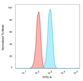 IRF3 Antibody K562 FACS. Flow cytometry analysis of PFA-fixed human K562 cells stained with IRF3 Antibody demonstrates a distinct right-shifted fluorescence population relative to unstained cells, consistent with IRF3-associated innate immune signaling and interferon regulatory pathway expression. This innate immune signaling antibody supports characterization of antiviral response-associated transcriptional regulatory proteins in hematologic-derived cells. Blue=IRF3 antibody, Red=unstained cells.