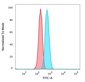IRF3 Antibody HeLa FACS. Flow cytometry analysis of PFA-fixed human HeLa cells stained with IRF3 Antibody demonstrates a distinct right-shifted fluorescence population relative to unstained cells, consistent with IRF3-associated innate immune signaling and interferon regulatory pathway expression. This innate immune signaling antibody supports characterization of antiviral response-associated transcriptional regulatory proteins in epithelial-derived cells. Blue=IRF3 antibody, Red=unstained cells.