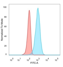 IRF3 Antibody U87 FACS. Flow cytometry analysis of PFA-fixed human U87 cells stained with IRF3 Antibody demonstrates a distinct right-shifted fluorescence population relative to unstained cells, consistent with IRF3-associated innate immune signaling and interferon regulatory pathway expression. This innate immune signaling antibody supports characterization of antiviral response-associated transcriptional regulatory proteins in glioblastoma-derived cells. Blue=IRF3 antibody, Red=unstained cells.