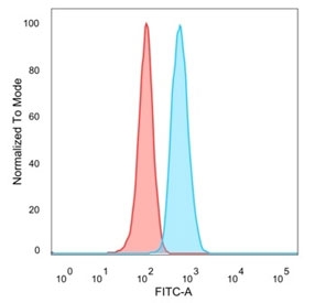 IRF3 Antibody Raji FACS. Flow cytometry analysis of PFA-fixed human Raji cells stained with IRF3 Antibody demonstrates a distinct right-shifted fluorescence population relative to unstained cells, consistent with IRF3-associated innate immune signaling and interferon regulatory pathway expression. This innate immune signaling antibody supports characterization of antiviral response-associated transcriptional regulatory proteins in B lymphocyte-derived cells. Blue=IRF3 antibody, Red=unstained cells.