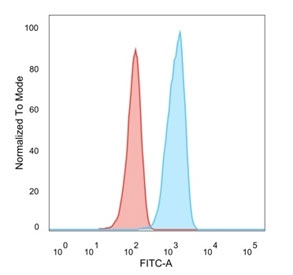 TCF25 Antibody HeLa FACS. Flow cytometry analysis of PFA-fixed human HeLa cells stained with TCF25 Antibody / Transcription Factor Protein Antibody (blue, clone PCRP-TCF25-1A11). Unstained cells are shown in red. The distinct fluorescence shift supports detection of endogenous TCF25/Transcription factor 25 expression in HeLa cells, consistent with the broad cellular distribution reported for this transcription-associated regulatory protein and member of the basic helix-loop-helix protein family.