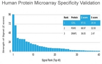 Analysis of HuProt(TM) microarray containing more than 19,000 full-length human proteins using CD5 Ligand antibody (clone CD5L/4420). These results demonstrate the foremost specificity of the CD5L/4420 mAb. Z- and S- score: The Z-score represents the strength of a signal that an antibody (in combination with a fluorescently-tagged anti-IgG secondary Ab) produces when binding to a particular protein on the HuProt(TM) array. Z-scores are described in units of standard deviations (SD's) above the mean value of all signals generated on that array. If the targets on the HuProt(TM) are arranged in descending order of the Z-score, the S-score is the difference (also in units of SD's) between the Z-scores. The S-score therefore represents the relative target specificity of an Ab to its intended target.