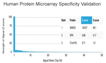 SMAD3 Antibody Protein Microarray Validation. Specificity of SMAD3 Antibody clone PCRP-SMAD3-1A2 was evaluated using the HuProt Protein Microarray containing more than 19,000 full-length human proteins. SMAD3 ranked as the top target with a Z-score of 102.97 and an S-score of 96.1, demonstrating exceptional specificity relative to all other proteins on the array. These findings confirm that this TGF-beta Signaling Protein Antibody is Protein Microarray Validated, providing researchers with high confidence in target specificity. The Z-score reflects the strength of antibody binding to a given protein relative to the array background, while the S-score measures target specificity by comparing the Z-score of the intended target with that of the next highest-ranking protein.