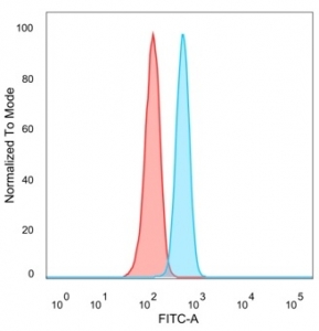 FACS staining of PFA-fixed human HeLa cells with Th-Pok antibody (blue, clone PCRP-ZBTB7B-1B6), and unstained cells (red).