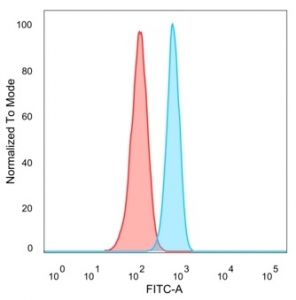 FACS staining of PFA-fixed human HeLa cells with ZBTB7B antibody (blue, clone PCRP-ZBTB7B-1F7), and unstained cells (red).
