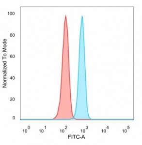 FACS staining of PFA-fixed human HeLa cells with RXRB antibody (blue, clone PCRP-RXRB-2B6), and unstained cells (red).