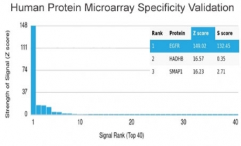 Analysis of HuProt(TM) microarray containing more than 19,000 full-length human proteins using EGF Receptor antibody (clone EGFR/4575). These results demonstrate the foremost specificity of the EGFR/4575 mAb. Z- and S- score: The Z-score represents the strength of a signal that an antibody (in combination with a fluorescently-tagged anti-IgG secondary Ab) produces when binding to a particular protein on the HuProt(TM) array. Z-scores are described in units of standard deviations (SD's) above the mean value of all signals generated on that array. If the targets on the HuProt(TM) are arranged in descending order of the Z-score, the S-score is the difference (also in units of SD's) between the Z-scores. The S-score therefore represents the relative target specificity of an Ab to its intended target.