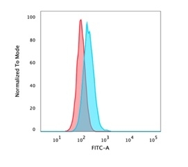 deltaNp63 Antibody. Flow cytometry analysis of PFA-fixed and permeabilized human HeLa cells demonstrates a rightward shift in fluorescence intensity for the deltaNp63-stained population (blue) compared to the isotype control (red), indicating specific intracellular detection of Tumor protein p40 (TP63). The separation between populations supports accurate gating and quantification of deltaNp63-positive cells, consistent with nuclear expression of this transcription factor following permeabilization. The staining pattern supports use of this antibody as an epithelial identity regulator, reflecting TP63-driven maintenance of epithelial lineage at the single-cell population level.