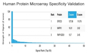 AGO3 Antibody HuProt Microarray. Analysis of a HuProt(TM) microarray containing more than 19,000 full-length human proteins using AGO3 antibody detecting Argonaute 3, clone PCRP-AGO3-1C5. The antibody shows a strong and highly specific signal for AGO3 with a markedly elevated Z-score and clear separation from lower-ranked proteins, resulting in a high S-score consistent with target specificity. Z-score represents signal intensity in standard deviations above the array mean, while S-score reflects the difference between the top-ranked target and subsequent signals, indicating relative binding specificity of the monoclonal antibody.
