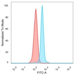 FACS staining of PFA-fixed human HeLa cells with HDAC6 antibody (blue, clone PCRP-HDAC6-1A4) and unstained cells (red).