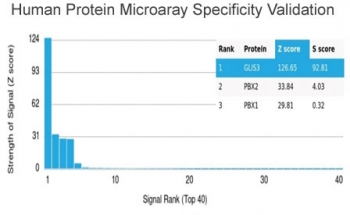 GLIS3 Antibody HuProt Microarray Specificity. Protein microarray analysis using GLIS3 Antibody (clone PCRP-GLIS3-1B11) demonstrates highly specific binding to GLIS3 / GLIS family zinc finger 3, with the target protein ranked as the top hit and showing a strong Z score with clear separation from all other proteins on the array. Signal intensity decreases sharply for non-target proteins, supporting selective recognition with minimal off-target interaction. Z score represents the strength of signal in standard deviations above the mean of all array signals, while S score reflects the separation between ranked targets and provides a measure of relative specificity.