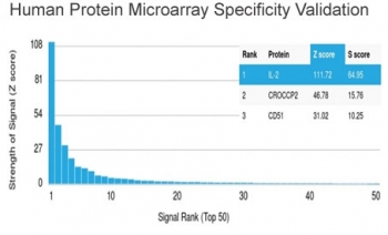 Analysis of HuProt(TM) microarray containing more than 19,000 full-length human proteins using IL3 antibody (clone IL3/4001). These results demonstrate the foremost specificity of the IL3/4001 mAb. Z- and S- score: The Z-score represents the strength of a signal that an antibody (in combination with a fluorescently-tagged anti-IgG secondary Ab) produces when binding to a particular protein on the HuProt(TM) array. Z-scores are described in units of standard deviations (SD's) above the mean value of all signals generated on that array. If the targets on the HuProt(TM) are arranged in descending order of the Z-score, the S-score is the difference (also in units of SD's) between the Z-scores. The S-score therefore represents the relative target specificity of an Ab to its intended target.