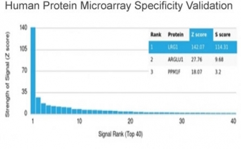 LRG1 Antibody Microarray Specificity Validation. Analysis of HuProt(TM) microarray containing more than 19,000 full-length human proteins using LRG1 antibody (clone LRG1/4882). These results demonstrate the foremost specificity of the LRG1/4882 mAb. Z- and S- score: The Z-score represents the strength of a signal that an antibody (in combination with a fluorescently-tagged anti-IgG secondary Ab) produces when binding to a particular protein on the HuProt(TM) array. Z-scores are described in units of standard deviations (SD's) above the mean value of all signals generated on that array. If the targets on the HuProt(TM) are arranged in descending order of the Z-score, the S-score is the difference (also in units of SD's) between the Z-scores. The S-score therefore represents the relative target specificity of an Ab to its intended target.