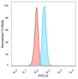 TDRKH Antibody HeLa FACS. Flow cytometry analysis of Tudor and KH domain containing protein / TDRKH expression in PFA-fixed human HeLa cells using TDRKH Antibody clone PCRP-TDRKH-1H2 (blue) compared to unstained cells (red). The TDRKH Antibody demonstrates a clear right-shifted population relative to control, supporting detection of TDRKH-positive cells. This Microarray Specificity Validated Antibody supports highly specific detection of TDRKH in cell-based assays.