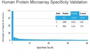 Analysis of HuProt(TM) microarray containing more than 19,000 full-length human proteins using ECD antibody (clone PCRP-ECD-1D10). These results demonstrate the foremost specificity of the PCRP-ECD-1D10 mAb. Z- and S- score: The Z-score represents the strength of a signal that an antibody (in combination with a fluorescently-tagged anti-IgG secondary Ab) produces when binding to a particular protein on the HuProt(TM) array. Z-scores are described in units of standard deviations (SD's) above the mean value of all signals generated on that array. If the targets on the HuProt(TM) are arranged in descending order of the Z-score, the S-score is the difference (also in units of SD's) between the Z-scores. The S-score therefore represents the relative target specificity of an Ab to its intended target.