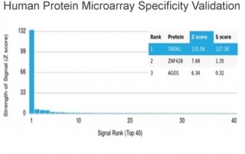 Analysis of HuProt(TM) microarray containing more than 19,000 full-length human proteins using TADA1 antibody (clone PCRP-TADA1-1C9). These results demonstrate the foremost specificity of the PCRP-TADA1-1C9 mAb. Z- and S- score: The Z-score represents the strength of a signal that an antibody (in combination with a fluorescently-tagged anti-IgG secondary Ab) produces when binding to a particular protein on the HuProt(TM) array. Z-scores are described in units of standard deviations (SD's) above the mean value of all signals generated on that array. If the targets on the HuProt(TM) are arranged in descending order of the Z-score, the S-score is the difference (also in units of SD's) between the Z-scores. The S-score therefore represents the relative target specificity of an Ab to its intended target.