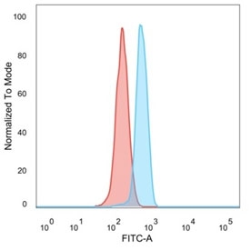 DCP2 Antibody HeLa Cell FACS. Flow cytometry analysis of PFA-fixed human HeLa cells using DCP2 Antibody (clone PCRP-DCP2-1D6, blue) shows a clear rightward shift relative to unstained cells (red), indicating detection of DCP2 / Decapping protein 2 expression. The intracellular signal is consistent with cytoplasmic localization of this mRNA decapping enzyme involved in RNA turnover and post-transcriptional regulation pathways.