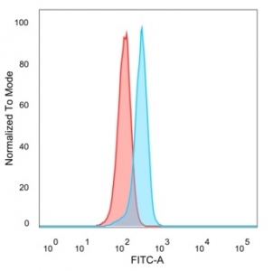FACS staining of PFA-fixed human HeLa cells with ATF2 antibody (blue, clone PCRP-ATF2-1B4), and unstained cells (red).