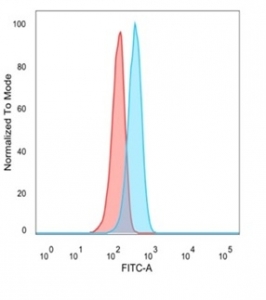 FACS staining of PFA-fixed human U-87 MG cells with ATF2 antibody (blue, clone PCRP-ATF2-1B4), and unstained cells (red).