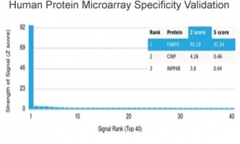 FABP4 Antibody Protein Microarray Validation. Analysis of a HuProt protein microarray containing more than 19,000 full-length human proteins using FABP4 Antibody / Adipocyte Lipid Metabolism Marker clone FABP4/4424. The antibody demonstrates highly selective recognition of FABP4 with a Z-score of 95.29 and an S-score of 91.04, supporting exceptionally strong target specificity for this adipocyte-associated lipid transport protein relative to other proteins represented on the array. CNIH4 and INPPB were identified as substantially lower-ranking signals. Z-scores represent signal intensity above array background in standard deviation units, while S-scores reflect the specificity gap between the top-ranked target and subsequent proteins. An S-score greater than 2.5 is generally considered supportive of target-specific antibody recognition.