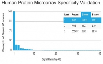 IDO2 Antibody HuProt Microarray Specificity. Protein microarray analysis using IDO2 Antibody (clone IDO2/2640) demonstrates highly specific binding to IDO2 / Indoleamine 2,3-dioxygenase 2, with the target protein ranked as the top hit and showing a strong Z score with clear separation from all other proteins on the array. Signal intensity drops sharply for non-target proteins, supporting selective recognition with minimal off-target interaction. Z score represents the strength of signal in standard deviations above the mean of all array signals, while S score reflects the separation between ranked targets and provides a measure of relative specificity.