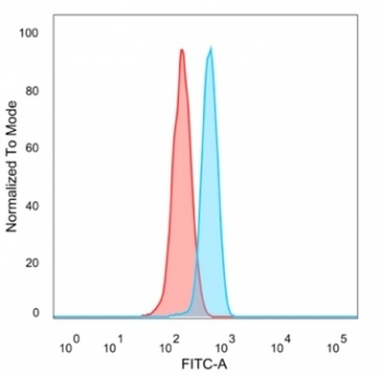 FACS staining of PFA-fixed human HeLa cells with MEF2B antibody (blue, clone PCRP-MEF2B-2F9) and unstained cells (red).