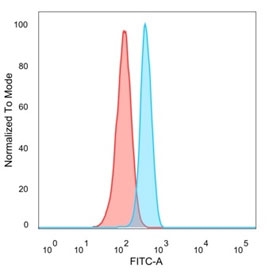 HIC2 Antibody HeLa FACS. Flow cytometry analysis of PFA-fixed human HeLa cells stained with HIC2 Antibody / Transcriptional Regulation Marker (blue, clone PCRP-HIC2-1B1). Isotype control cells are shown in red. The distinct fluorescence shift supports detection of endogenous Hypermethylated in cancer protein 2 / HIC2 expression in HeLa cells, consistent with the broad intracellular distribution expected for a zinc finger transcription-associated regulatory protein involved in nuclear gene expression control and developmental signaling pathways.