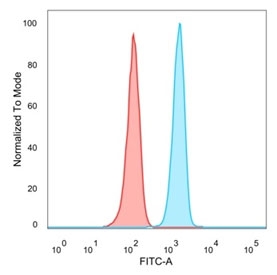 SIRT3 Antibody HeLa Cell FACS. Flow cytometry analysis of PFA-fixed human HeLa cells stained with clone PCRP-SIRT3-1C10 (blue) and matched isotype control (red). The observed fluorescence shift demonstrates cellular expression of Sirtuin 3 / SIRT3, a mitochondrial deacetylase involved in regulation of oxidative metabolism, mitochondrial homeostasis, and metabolic stress response pathways associated with cellular energy adaptation.