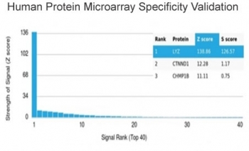 Analysis of HuProt(TM) microarray containing more than 19,000 full-length human proteins using Lysozyme C antibody (clone LYZ/3944). These results demonstrate the foremost specificity of the LYZ/3944 mAb. Z- and S- score: The Z-score represents the strength of a signal that an antibody (in combination with a fluorescently-tagged anti-IgG secondary Ab) produces when binding to a particular protein on the HuProt(TM) array. Z-scores are described in units of standard deviations (SD's) above the mean value of all signals generated on that array. If the targets on the HuProt(TM) are arranged in descending order of the Z-score, the S-score is the difference (also in units of SD's) between the Z-scores. The S-score therefore represents the relative target specificity of an Ab to its intended target.