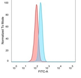 FACS staining of PFA-fixed human HeLa cells with NFIA antibody (blue, clone PCRP-NFIA-2C6) and isotype control (red).