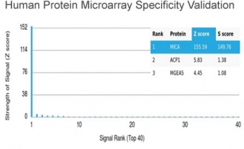 MICA Antibody Microarray Specificity Validation. Analysis of HuProt(TM) microarray containing more than 19,000 full-length human proteins using MICA antibody (clone MICA/4442). These results demonstrate the foremost specificity of the MICA/4442 mAb. Z- and S- score: The Z-score represents the strength of a signal that an antibody (in combination with a fluorescently-tagged anti-IgG secondary Ab) produces when binding to a particular protein on the HuProt(TM) array. Z-scores are described in units of standard deviations (SD's) above the mean value of all signals generated on that array. If the targets on the HuProt(TM) are arranged in descending order of the Z-score, the S-score is the difference (also in units of SD's) between the Z-scores. The S-score therefore represents the relative target specificity of an Ab to its intended target.