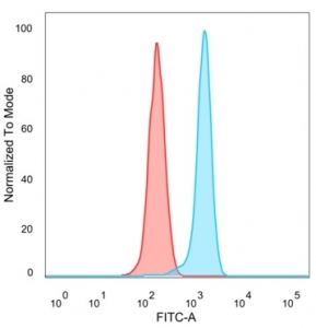 FACS staining of PFA-fixed human HeLa cells with MEF2D antibody (blue, clone PCRP-MEF2D-3A4) and isotype control (red).