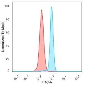 FACS staining of PFA-fixed human HeLa cells with Serum Response Factor antibody (blue, clone PCRP-SRF-1F7) and isotype control (red).