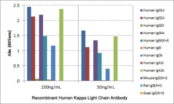 <p><strong>Human Kappa Light Chain Antibody for ELISA Specificity Analysis.</strong> ELISA analysis of recombinant human immunoglobulins demonstrates that clone <a href="../tds/recombinant-human-kappa-light-chain-antibody-rm126-r20178" target="_blank" rel="noopener">RM126</a> selectively recognizes kappa light chain-containing antibodies, with strong signal observed across human IgG subclasses and IgM, while no cross-reactivity is detected with lambda light chain immunoglobulins or non-human IgG from mouse, rat, or goat.</p>