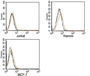 <p>FACS testing of Rabbit IgG <a href="../tds/rabbit-isotype-control-polyclonal-antibody-n1001" target="_blank" rel="noopener">isotype control antibody</a> on human samples. Black=cells alone, gray=cells + secondary, orange=cells + isotype control antibody + secondary</p>