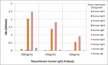 <p>Human IgA2 Antibody for ELISA Subclass Specificity Analysis. ELISA analysis of human immunoglobulins demonstrates that clone <a href="../tds/recombinant-human-iga2-antibody-rm125-r20184">RM125</a> selectively recognizes Human IgA2 / IGHA2, with strong signal observed across tested concentrations, indicating specific binding to the alpha 2 heavy chain.</p>