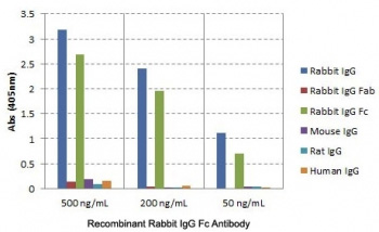 <p><strong data-start="0" data-end="53" data-is-only-node="">Rabbit IgG Fc Antibody Species Specificity ELISA.</strong> ELISA analysis using Rabbit IgG Fc Antibody <a href="../tds/recombinant-rabbit-igg-fc-antibody-rmg02-r20173">clone RMG02</a> demonstrates strong, concentration-dependent recognition of rabbit IgG and rabbit IgG Fc while showing no detectable reactivity with human, mouse, or rat IgG. The results confirm selective recognition of the rabbit IgG Fc region and excellent species specificity across the tested antibody panel. This image highlights the utility of Rabbit IgG Fc Antibody reagents for accurate rabbit IgG detection, immunoglobulin quantification, and high-specificity ELISA applications requiring minimal cross-reactivity with non-rabbit species.</p>
