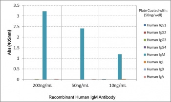 <p>Human IgM Antibody for ELISA Subclass Specificity Analysis. ELISA analysis of human immunoglobulins demonstrates that clone <a href="../tds/recombinant-human-igm-antibody-rm121-r20181" target="_blank" rel="noopener">RM121</a> selectively recognizes Human IgM / IGHM, with strong signal observed across tested concentrations. No cross-reactivity is detected with other immunoglobulin classes including IgG, IgE, IgD, or IgA.</p>