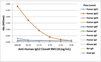 <p>Human IgG2 Antibody for ELISA Subclass Specificity Analysis. ELISA analysis of human immunoglobulin subclasses demonstrates that clone&nbsp;<a href="../tds/recombinant-human-igg2-antibody-rm118-r20188" target="_blank" rel="noopener">RM118</a> selectively recognizes Human IgG2 / IGHG2, with strong signal observed for IgG2 across tested concentrations, while no cross-reactivity is detected with IgG1, IgG3, IgG4, IgE, IgD, or IgA, or with non-human IgG from mouse, rat, or goat.</p>