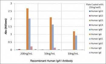 <p>Human IgA1 Antibody for ELISA Subclass Specificity Analysis. ELISA analysis of human immunoglobulins demonstrates that clone <a href="../tds/recombinant-human-iga1-antibody-rm124-r20183">RM124</a> selectively recognizes Human IgA1 / IGHA1, with strong signal observed across tested concentrations, indicating specific binding to the alpha 1 heavy chain</p>