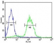 CD34 antibody flow cytometric analysis of Jurkat cells (right histogram) compared to a negative control cell (left histogram). FITC-conjugated goat-anti-rabbit secondary Ab was used for the analysis.