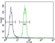 SUMO1 antibody flow cytometric analysis of HeLa cells (green) compared to a&nbsp;<a href=../search_result.php?search_txt=n1001>negative control</a>&nbsp;(blue).