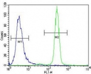 IL-6 antibody flow cytometric analysis of NCI-H460 cells (right histogram) compared to a negative control cell (left histogram). FITC-conjugated goat-anti-rabbit secondary Ab was used for the analysis.