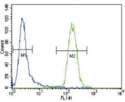 CD4 Antibody for FACS. Analysis of CD4 antibody staining in human CEM cells by flow cytometry shows a distinct rightward shift in fluorescence intensity (right histogram) compared to negative control cells (left histogram), demonstrating specific detection of CD4-expressing T lymphoblast cells and highlighting antigen recognition-associated receptor expression on the cell surface. A FITC-conjugated goat anti-rabbit secondary antibody was used for detection, supporting clear discrimination of CD4-positive populations for flow cytometry-based analysis of co-receptor function.