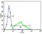 Leptin antibody flow cytometric analysis of HeLa cells (right histogram) compared to a negative control (left histogram). FITC-conjugated goat-anti-rabbit secondary Ab was used for the analysis.